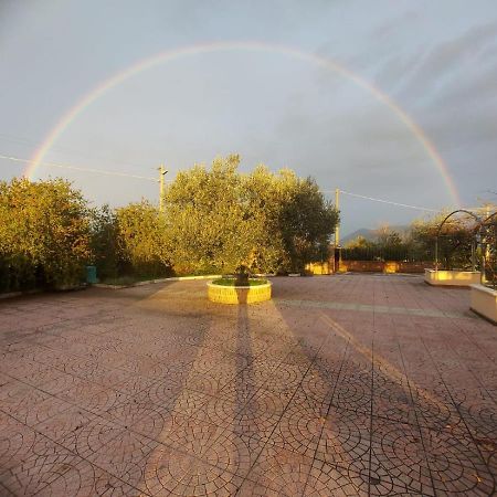 Lisandro Wine Resort Apartments Caserta Castel Campagnano Екстериор снимка