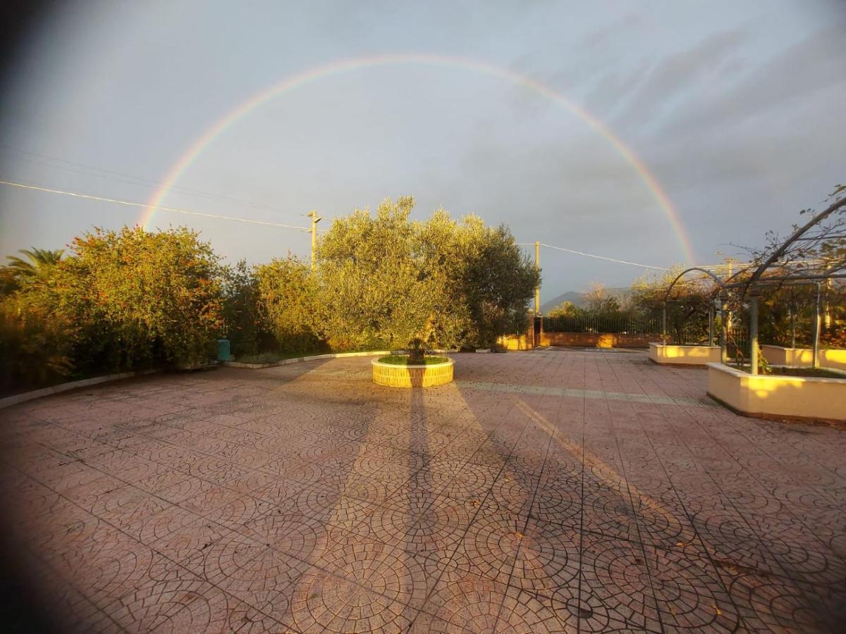 Lisandro Wine Resort Apartments Caserta Castel Campagnano Екстериор снимка