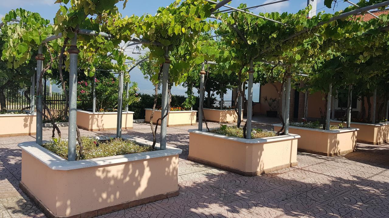 Lisandro Wine Resort Apartments Caserta Castel Campagnano Екстериор снимка