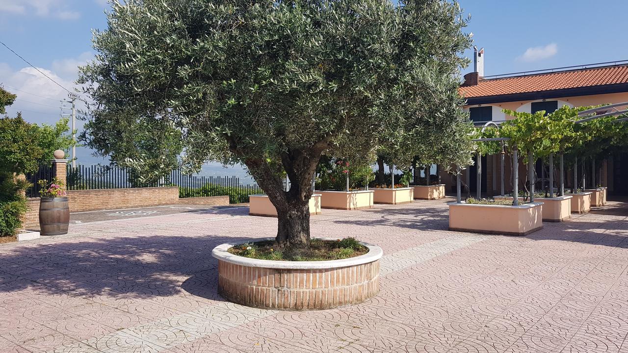 Lisandro Wine Resort Apartments Caserta Castel Campagnano Екстериор снимка