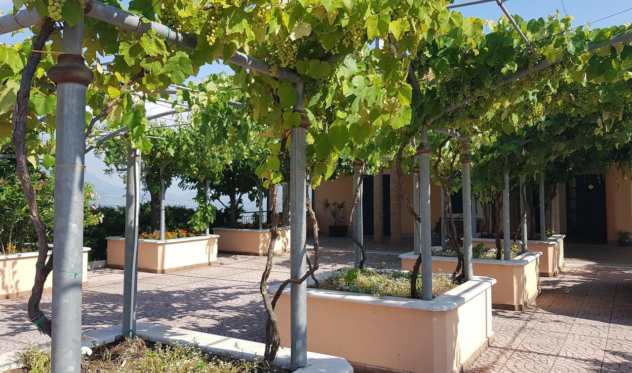 Lisandro Wine Resort Apartments Caserta Castel Campagnano Екстериор снимка