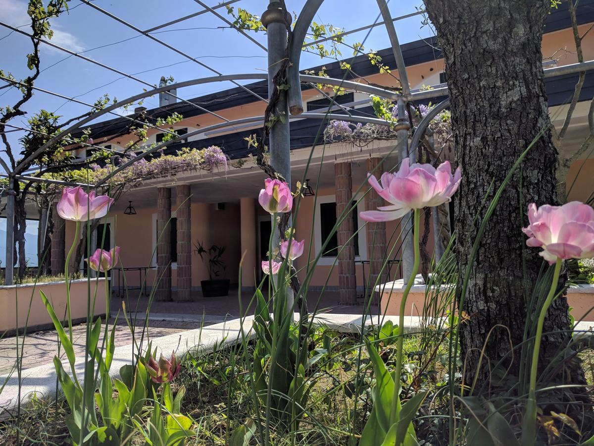 Lisandro Wine Resort Apartments Caserta Castel Campagnano Екстериор снимка